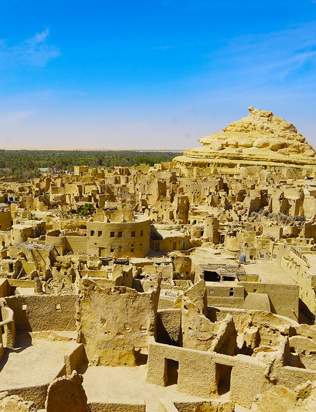 Siwa Oasis Holidays